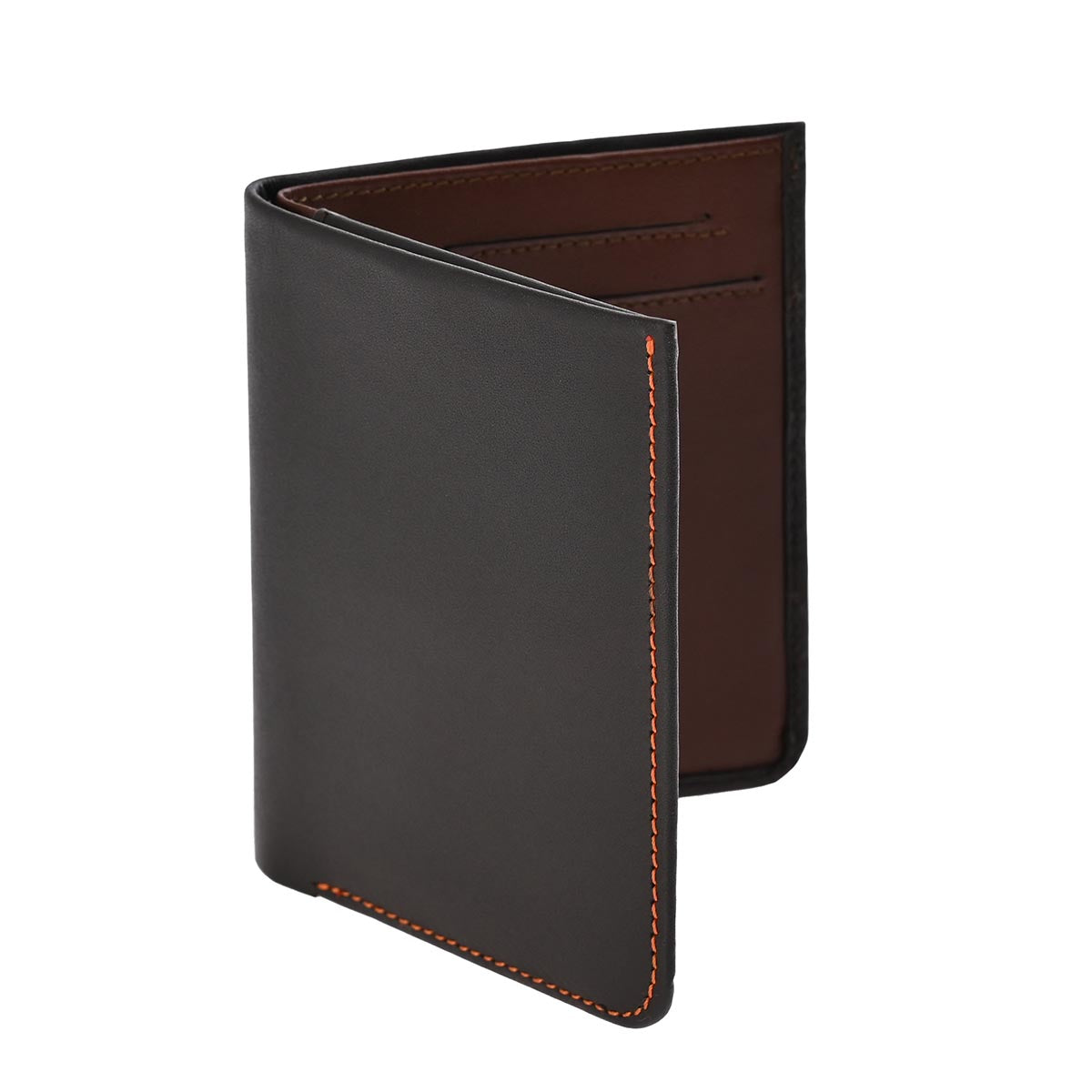 Cartera Slim Europea