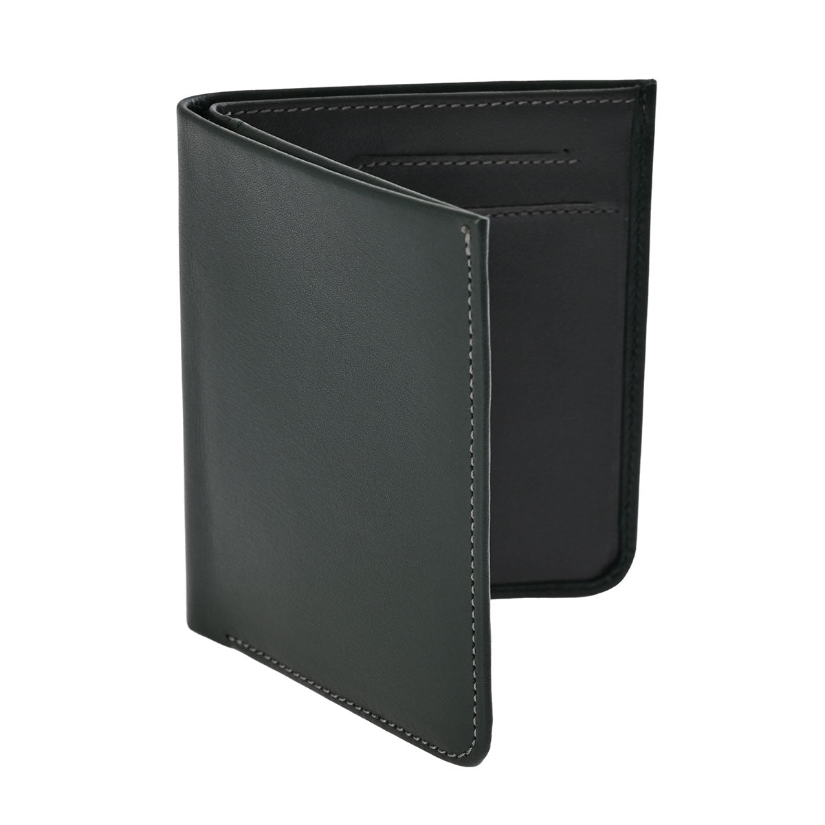 Cartera Slim Europea