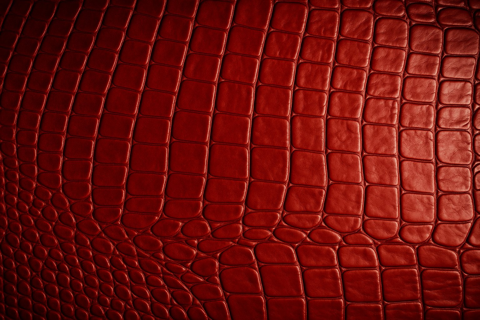 Colección Carteras Exotic